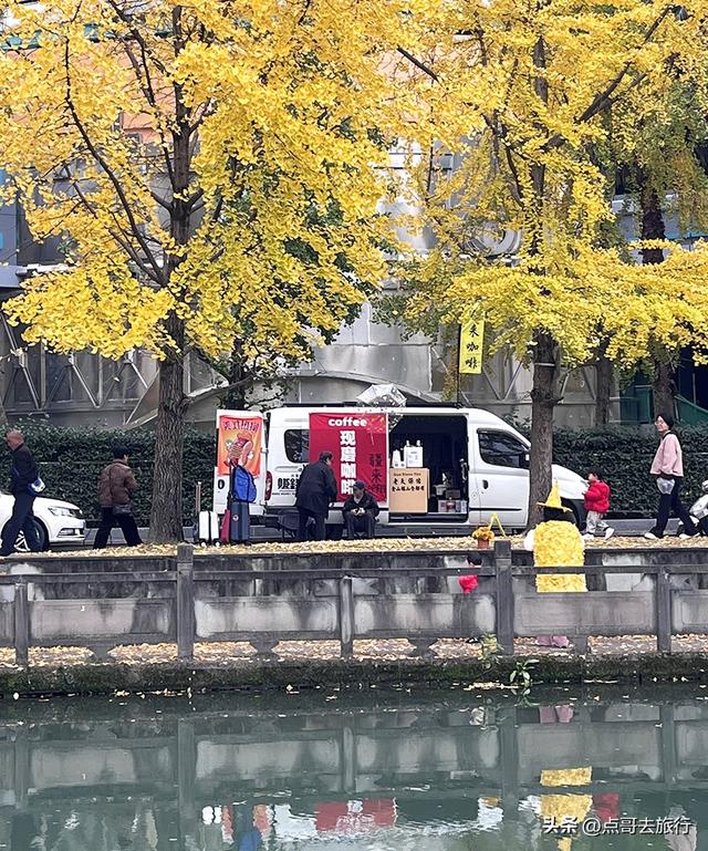 成都2公里长的银杏长廊，超级壮观，美爆了！地铁公交车可达！