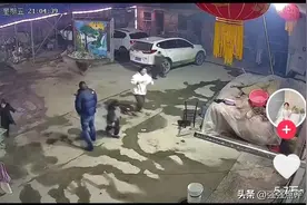 河南一家人在院里放烟花，狗狗叼起烟花往外跑，舍身救主感动全网图片