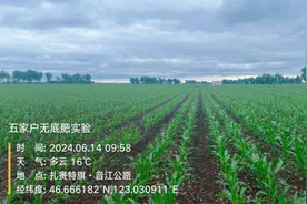 水肥一体化促进产能提升 吨粮田保障国家粮食安全图片