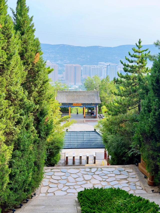 南山有嘉木（天水南郭寺）