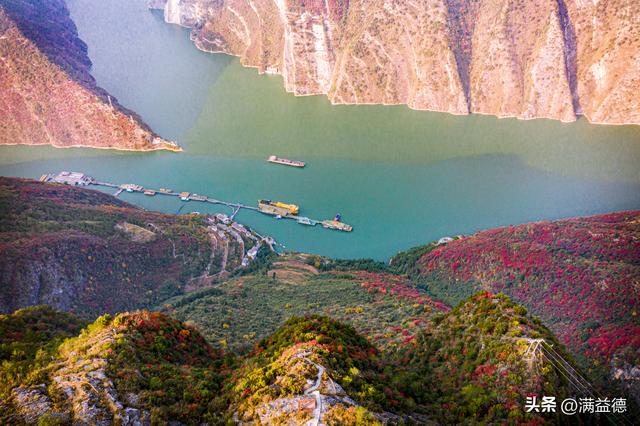 冬日巫山：红叶浸透风骨，江山如画