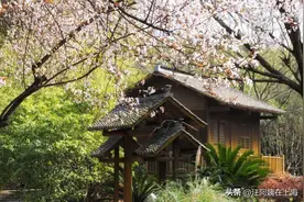 我92岁的舅爷爷，在身体没有任何疾病的情况下，选择离开这个世界图片