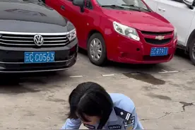 边牧犬迷路跑派出所求助 帮狗狗回家民警被赠旺旺旺锦旗图片