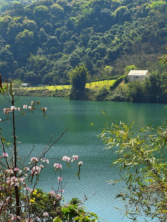 藏在广州的“小新西兰”：水声水库环湖秘境，5公里治愈徒步路线