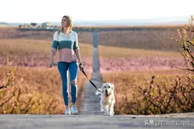 法院判了！男子骑车压到狗绳，遛狗女子被拽倒索赔，双方都有责任图片