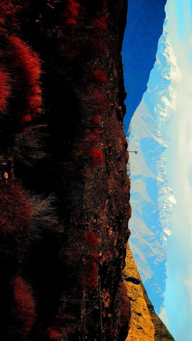 邢强 | 秋游南疆