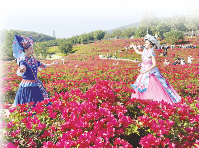 北国雪飘，南宁花开！藏不住了，这座城市的冬天“开挂”了！