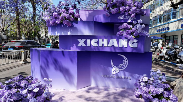 赴一场紫色花事｜西昌蓝花楹打卡点位全部准备就绪
