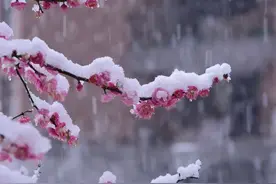 放下一个爱过的人需要多久？图片