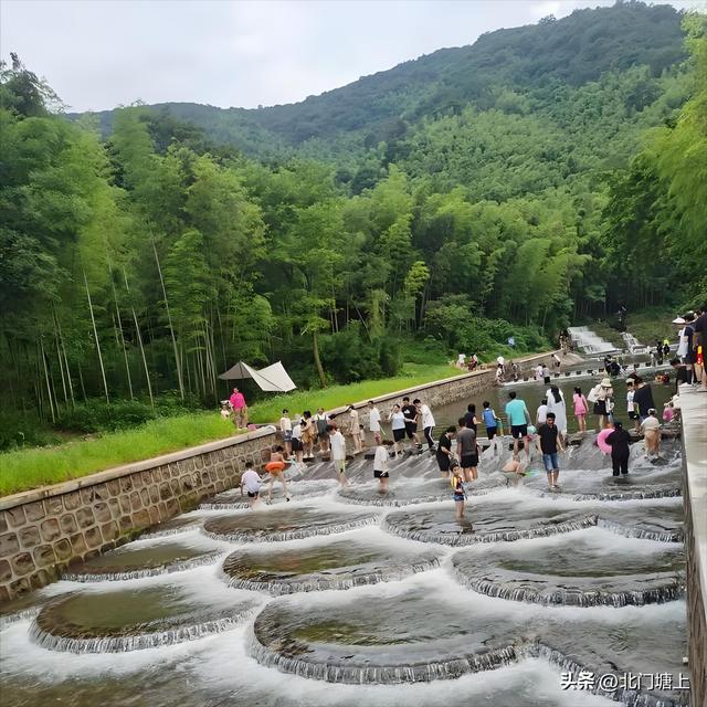 自然与人文交织，这个小山村靠“贡茶文化”走出了特色发展之路