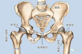 重磅:子扬老师说胯（估计这些你师父一辈子都不会告诉你）图片