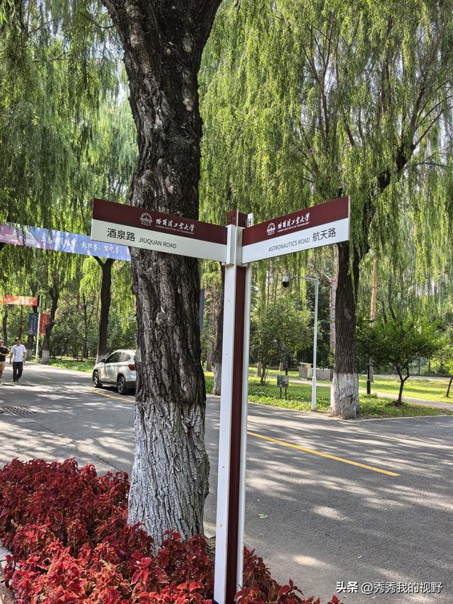 哈尔滨四日游——东北行第一站