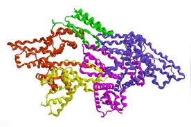 《有机化学基础》——29、蛋白质图片