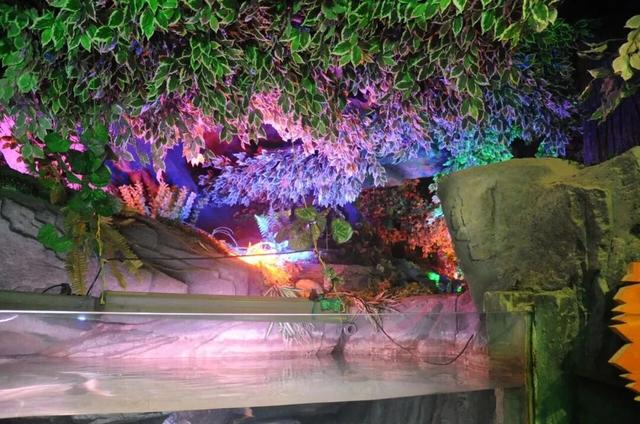 山东这座宝藏小城，坐拥中国四大名楼之一！苏轼、秦始皇都为它打call！