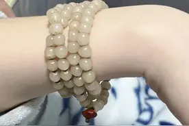 用绿化带麦冬果做了条手串，紫色的果皮，白色的果核，还挺好看。图片