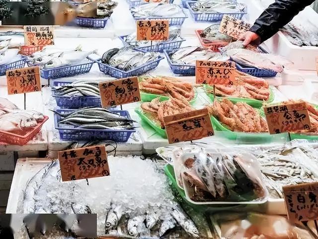 日本水产天塌了！6吨扇贝入华仅12天，首相一句话，871亿市场停摆