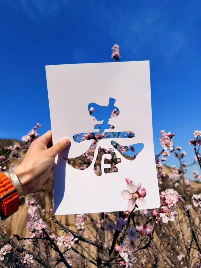 上春山！海淀这座山又到了最美的时候