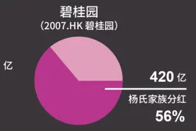 支持410亿港元，“砸锅卖铁”救碧桂园，杨惠妍套现了多少钱？图片