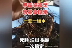 说说防治根腐病最优秀的杀菌剂——噁霉灵图片