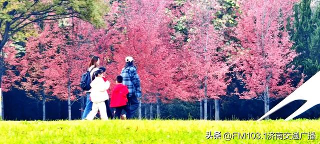 公园景区秋色图鉴，这几处必打卡