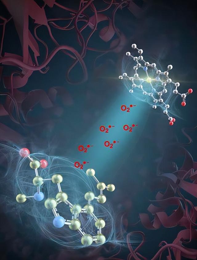 后密码时代已至！身体行为当钥匙，伦理考验不可忽视？