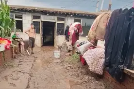 葫芦岛建昌现状！玉米倒伏，满地淤泥，一片狼藉，损失103亿图片