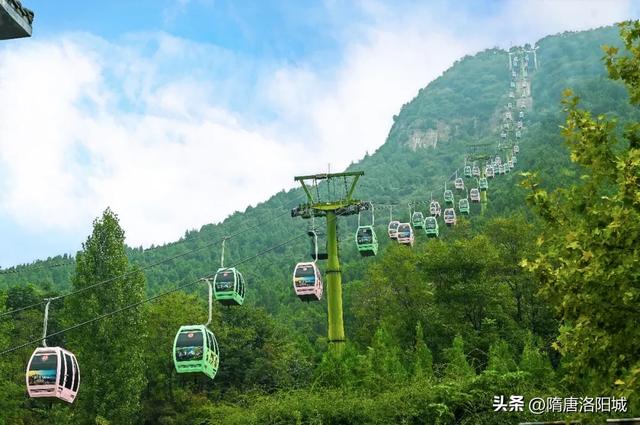 错过再等一年!洛阳红叶加载量进入倒计时!