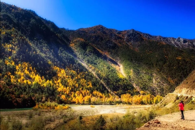 藏东左贡秘境！雪山草原古寺藏着极致风光