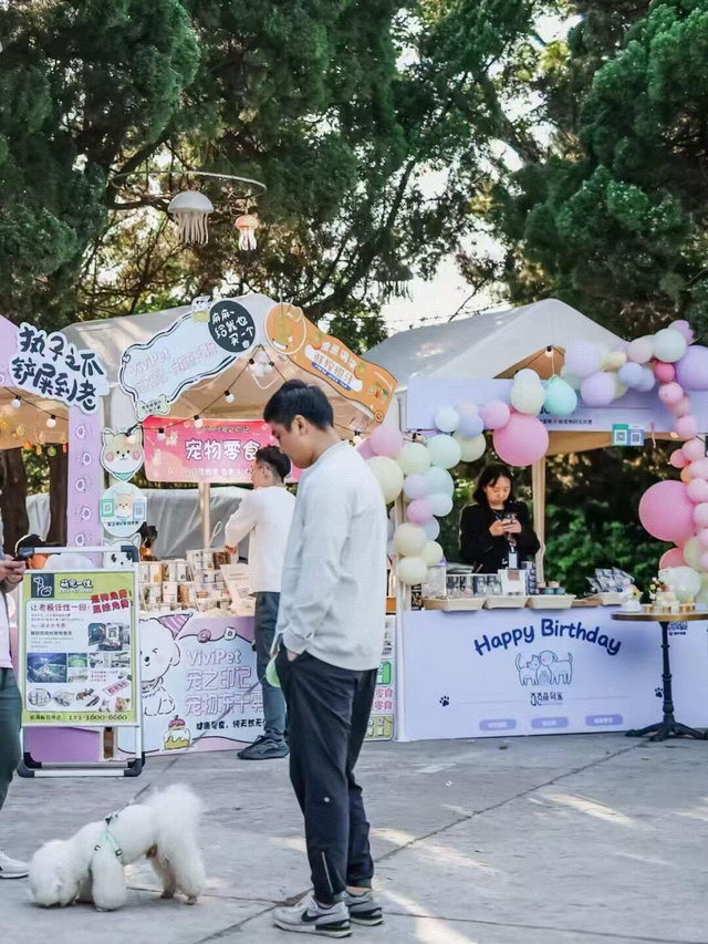 青岛夏日奇遇记：来市南这些转角市集，打开城市另一副面孔