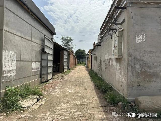 冠县乡韵·定远寨镇陈庄