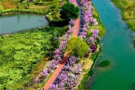 Go！跟着DeepSeek“深度”游长治！图片