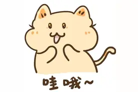 闽八地市体育中考项目抽签结束，厦门组合引发热议！怎么考？考试规则在这→图片