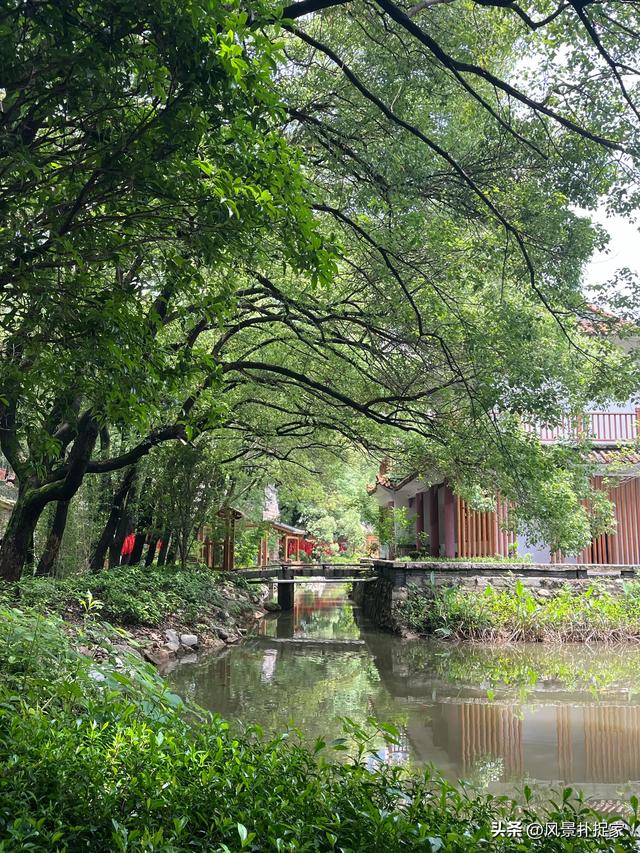 南昌文泉禅寺，让人静心的好去处！