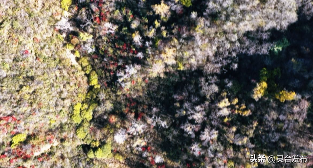 把灵台秋韵的山水诗意 都藏进这个秋天里