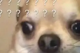 “昆起”与“粉起”图片