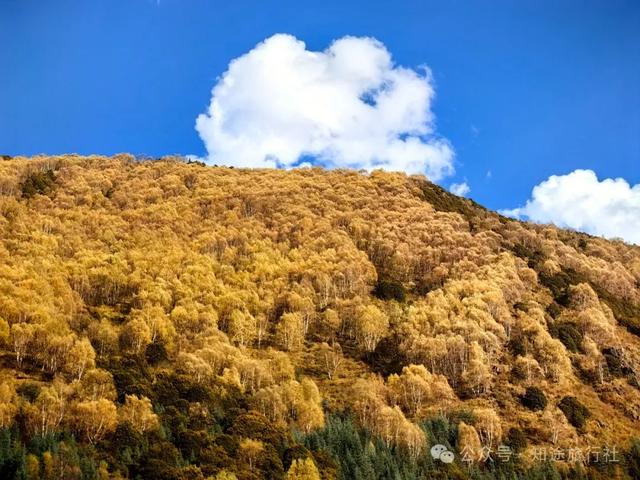 避开人潮，经典川西秋色10天行，人生必须要有的一场旅行！