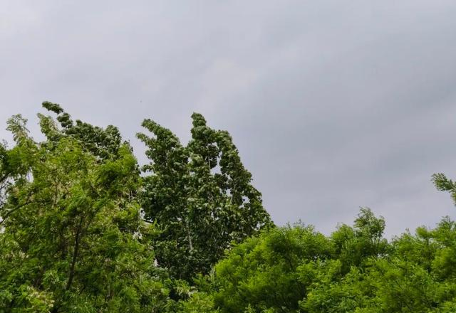 北京城区已下雨！大风吹得露营帐篷起飞
