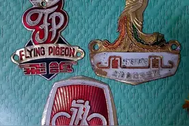 国产自行车只有喜德盛这一个品牌了，永久凤凰飞鸽沦为笑谈！脸呢图片