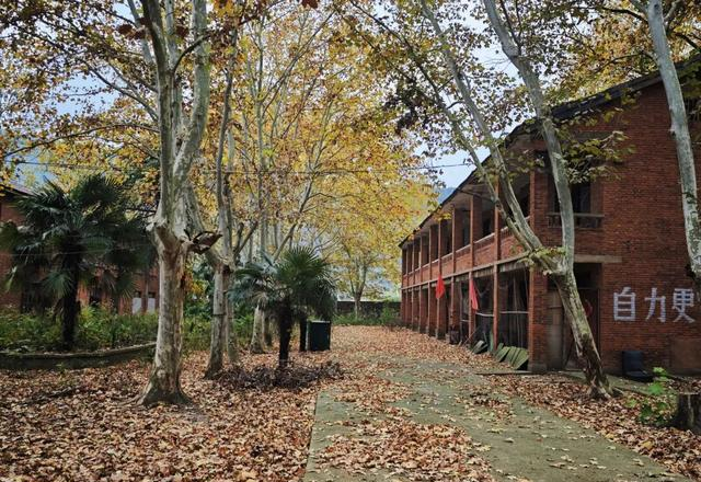 南京南郊山区被时间封印30余年的“矿山小镇”