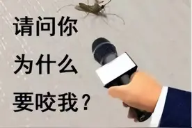 最新“蚊子地图”公布！广州这些地方伊蚊密度高图片