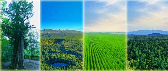 谁家公园这么美啊?长白山世界地质公园!