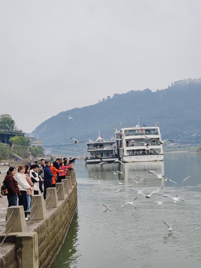 南行漫记：我们就不该来宜宾