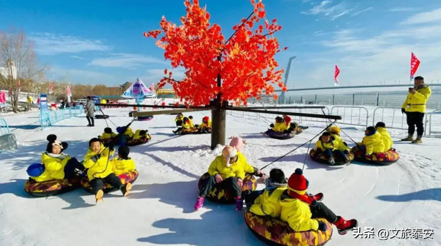 洛阳宝宝冲！四条线路解锁“一山一圣”的新玩法，朋友圈从洛阳卷到山东！