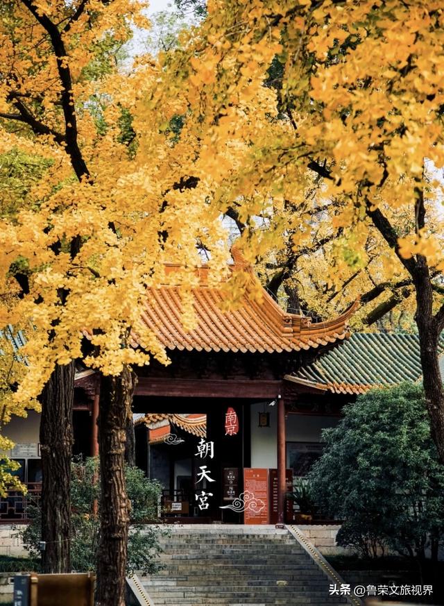 金陵秋韵浓，烟火味悠长——南京秋日逛吃全攻略