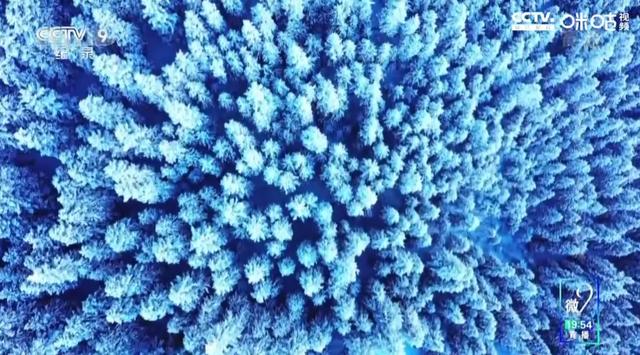 美到落泪！惊艳出圈！这部宝藏好片，让我目眩神迷