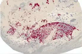 5万年历史！世界最古老洞穴壁画竟画着狩猎场景？图片