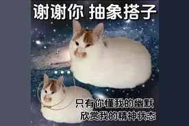“所有玩这梗的都将被我暗杀”，今年的热梗咋都又土又抽象图片