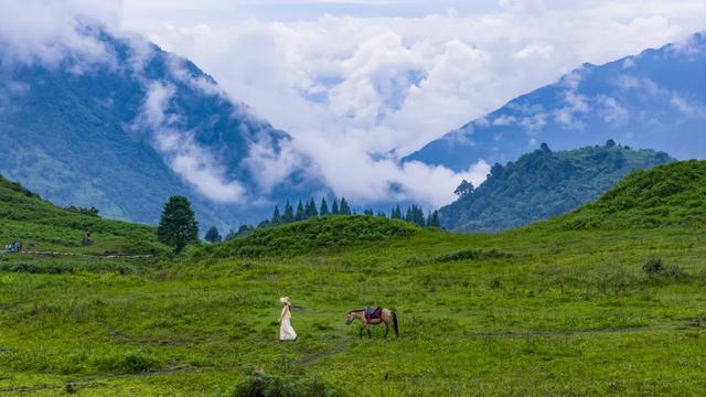 绿意+山林+森呼吸，在黑竹沟景区，慢享夏日山林趣～