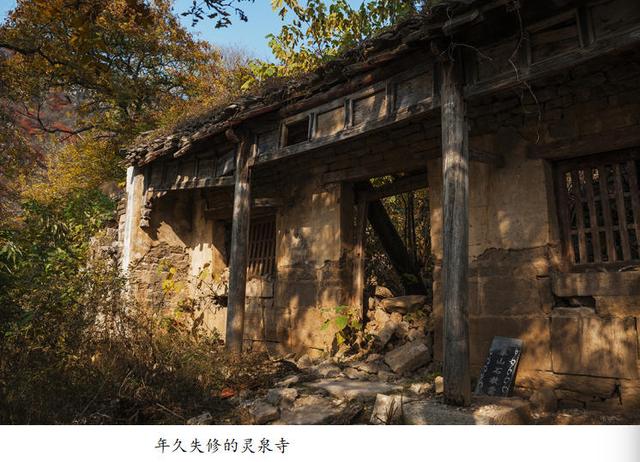 吴秀成：金秋探寻灵泉寺