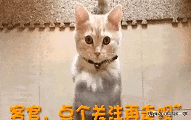李湘还是不忍了！坦白与释永信的真实关系，亲吻照真相已大白